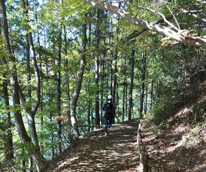 未経験から練習2カ月、初フルマラソンは3時間43分で完走 「走る」ことにハマった私の3年間