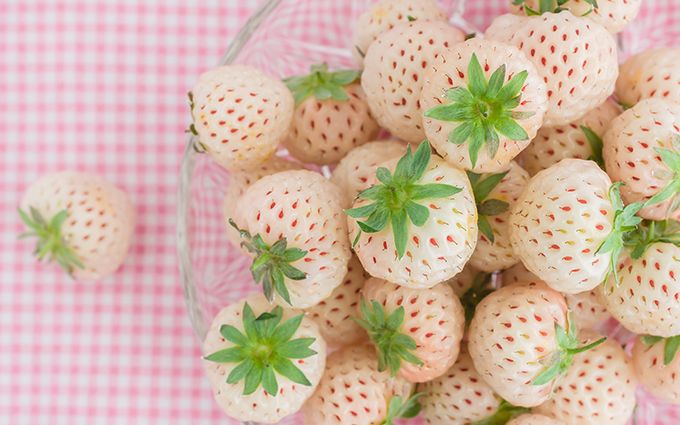 白苺を使ったいちごスイーツはパティスリーなどでもブームに!