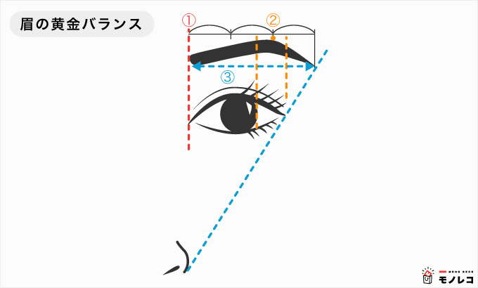アイブロウ 眉の黄金バランスの画像
