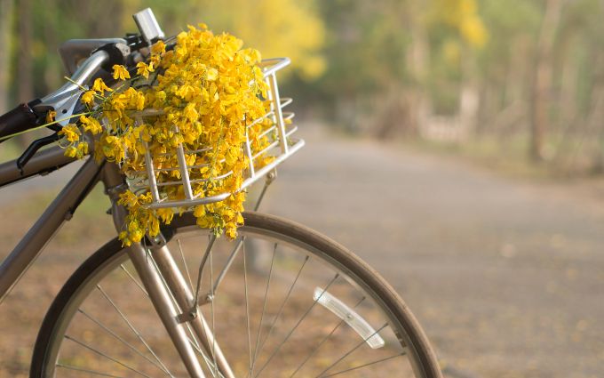 自転車の前カゴに花がのった画像