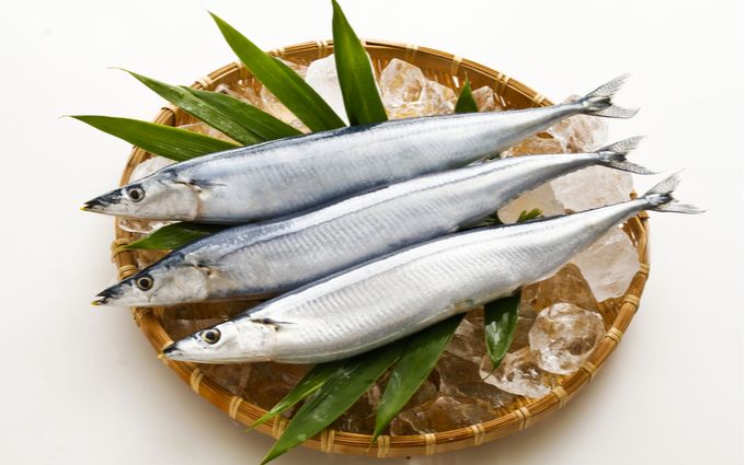 さんまの画像