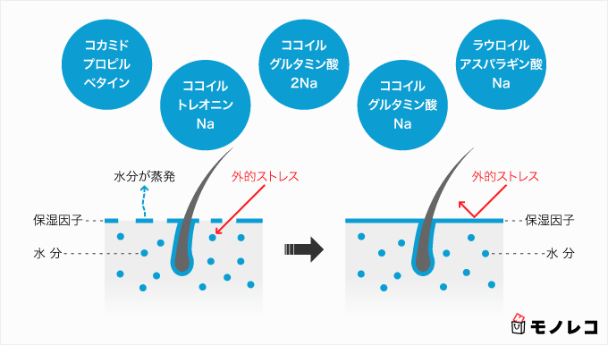 チャップアップシャンプーの5つのこだわり成分の画像