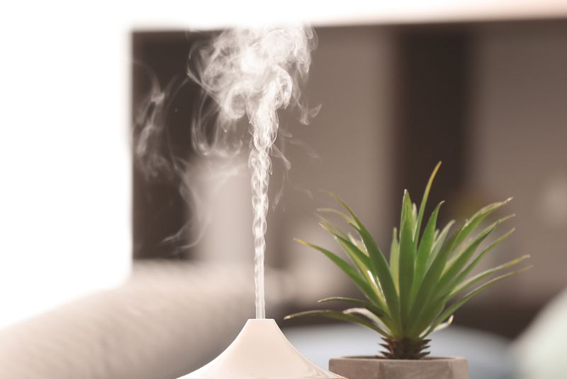 加湿器の蒸気の画像