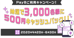 【6月末まで終了間近!!】PayB(ペイビー)のキャンペーンで500円獲得のチャンス!その内容と利用方法を解説!