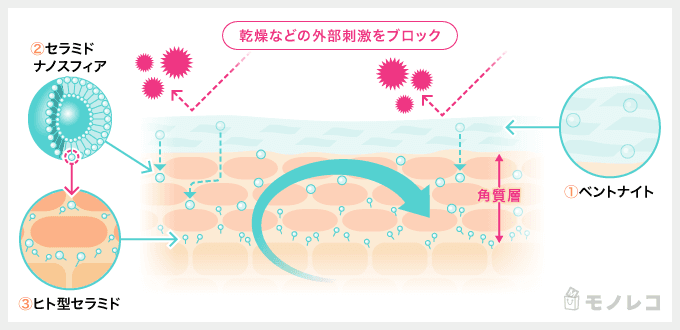 ディセンシアサエルホワイトCCクリームのヴァイタサイクルヴェール®️を説明するイラスト画像