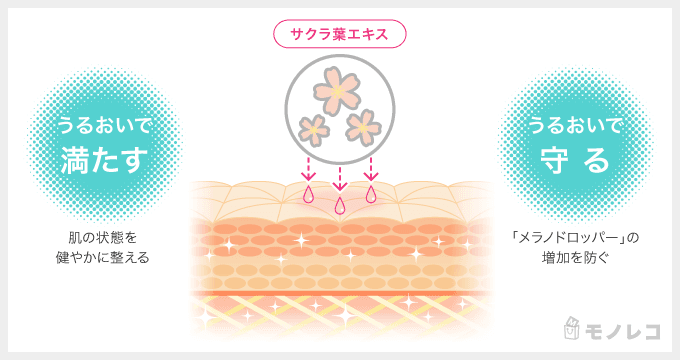 ファンケルホワイトニングのサクラ葉エキスを説明するイラスト画像