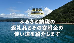 徳島県海陽町の魅力あふれる、ふるさと納税の返礼品とその寄附金の使い道を紹介