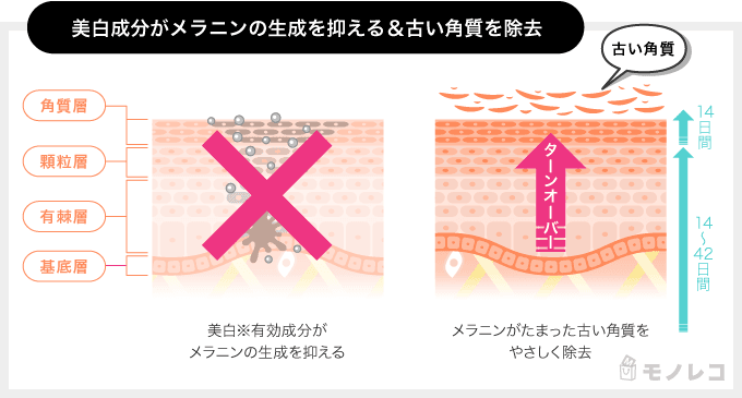 ル・ソイル ホワイトクレイサボンマスクを使ったときの角質の効果を表わすイラスト画像