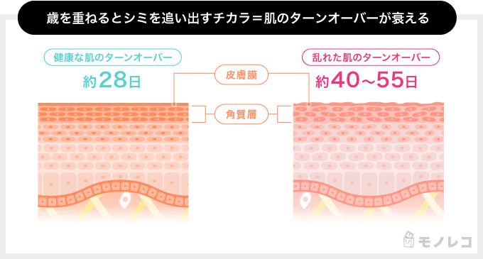 肌のターンオーバーを比較するイラスト画像