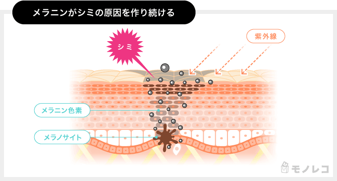 肌のメラニン色素ができてしまうメカニズムを説明するイラスト画像