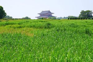 世界は古代から「グローバル」だった! 移動・物流が劇的に高速化した現代を、旧石器時代、大航海時代、産業革命から振り返る
