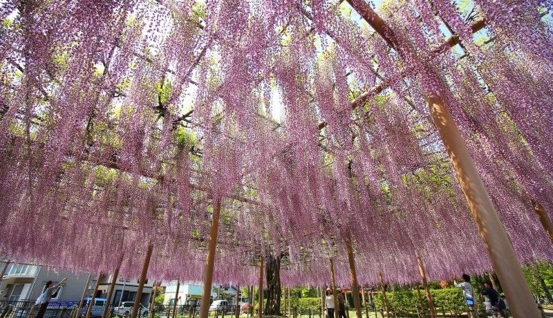 愛知県津島市をふるさと納税で応援しよう！多彩な返礼品や税金の使い道をご紹介 | マネ会 節約 by Ameba