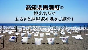 高知県黒潮町の豊かな海をふるさと納税で満喫しよう!観光名所や人気の返礼品をご紹介