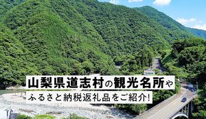 山梨県道志村は自然の宝庫!豊かな緑に囲まれた観光名所や魅力ある返礼品をご紹介