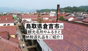情緒ある街並みを楽しめる鳥取県倉吉市のふるさと納税返礼品をご紹介!
