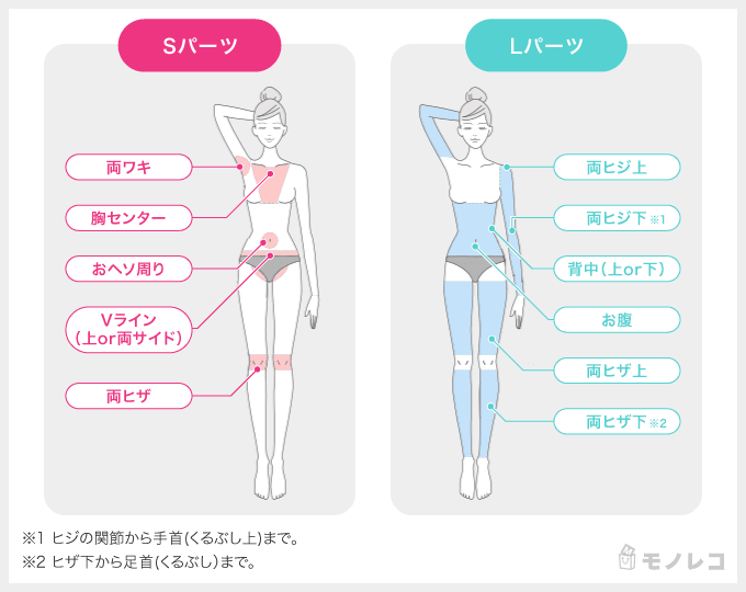 体験で脱毛できる箇所の説明イラスト画像