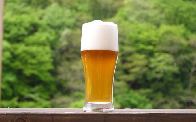 ビールの入ったグラスの画像