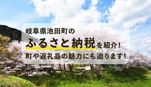 岐阜県池田町のふるさと納税を紹介!町や返礼品の魅力を担当者の佐藤さんに聞いてみた