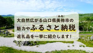 大自然広がる山口県美祢(みね)市の魅力やふるさと納税返礼品を一挙に紹介します!
