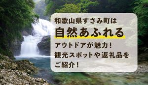 和歌山県すさみ町は自然あふれるアウトドアが魅力!観光スポットや返礼品をご紹介!