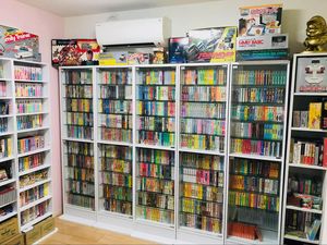 ファミコンカセット全1,053本を箱付きでコンプリートしたマニアが、コレクション開始から約10年間を振り返る