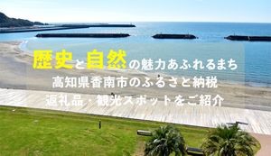 お米や魚介・野菜まで!ラインナップ豊富な高知県香南市のふるさと納税返礼品をご紹介
