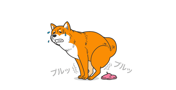 うんちがゆるい犬