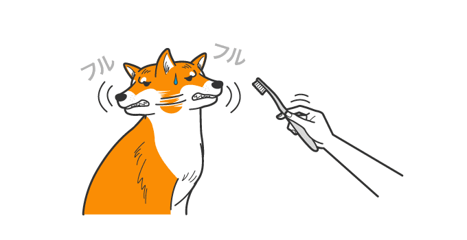 歯磨きが苦手な犬