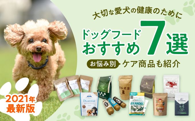 愛犬の健康のために【ドッグフードおすすめ7選】お悩み別ケア商品も紹介