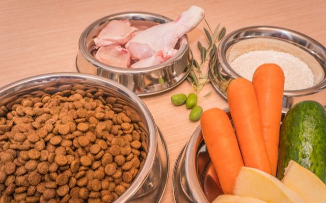 肉、野菜、ドッグフードが銀の皿に盛られている