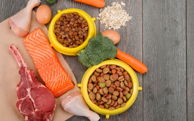 盛り付けられたキャットフードの周りに野菜や肉魚が置かれている