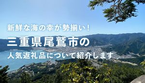 新鮮な海の幸が勢揃い!三重県尾鷲市の人気返礼品について担当者にインタビュー