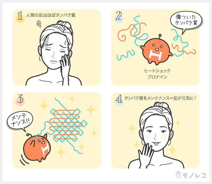 ヒートショックプロテインがタンパク質を補修する仕組みについての画像