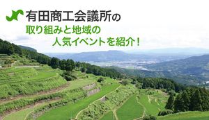 創業を支援する有田商工会議所の取り組みとは?地域の人気イベントもご紹介