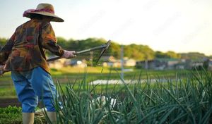 農家への転職は難しい?農家の現実と転職する際の注意点を解説