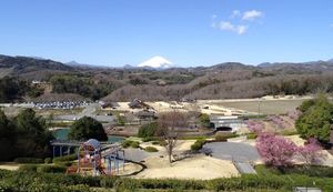 中井町の「里都まちなかいブランド認証制度」とは?ふるさと納税返礼品もご紹介