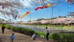IT化プロジェクトで効率化・伴走支援。館林商工会議所にインタビュー