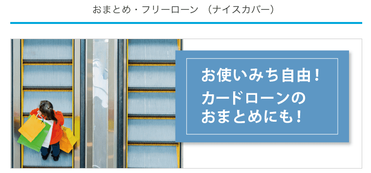 福岡銀行おまとめフリーローン(ナイスカバー)