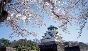 時代に応じた価値提供を目指して大商みらい塾を開催。大阪商工会議所にインタビュー