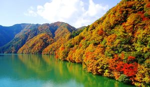 長野県天龍村で人気のふるさと納税返礼品とは?寄附金の使い道もご紹介