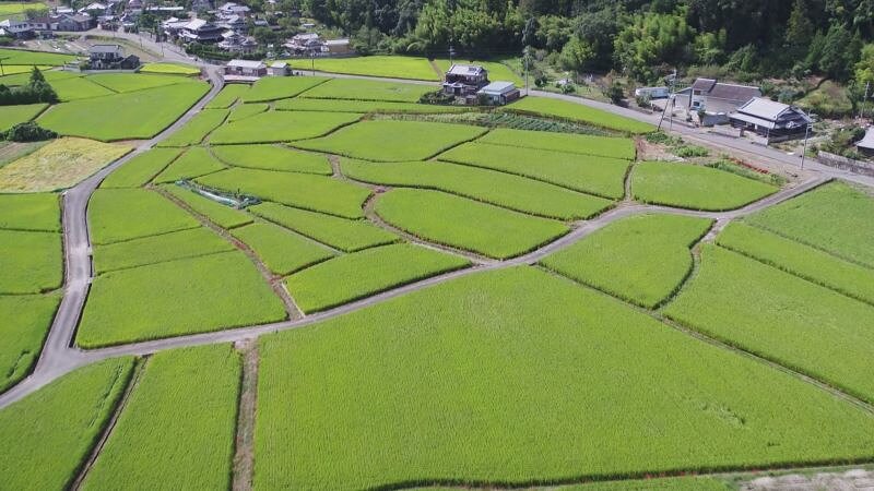 豊かな自然と清流で育った農産物が自慢！兵庫県上郡町のふるさと納税返礼品についてインタビュー