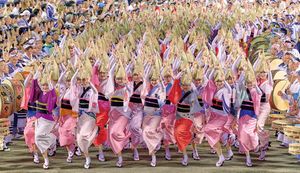 ご当地グルメから伝統の工芸品まで!徳島市で人気のふるさと納税返礼品をご紹介