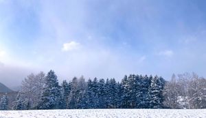 大自然が生み出す美しい景色と農産物が魅力!北海道赤井川村のふるさと納税返礼品についてインタビュー