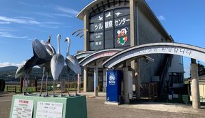 市の鳥もマスコットもツル!ツルの渡来地・鹿児島県出水市のふるさと納税返礼品を紹介