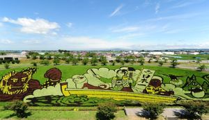 田んぼアート発祥の地!美しい田園風景が広がる青森県田舎館村のふるさと納税返礼品についてインタビュー