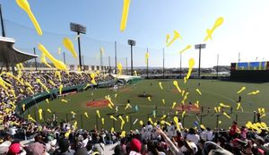 大人気のフルーツが盛りだくさん!福岡県筑後市のふるさと納税返礼品をご紹介