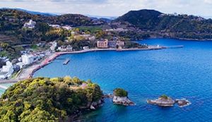 日本の地中海と呼ばれる熊本県水俣市の人気ふるさと納税返礼品をご紹介