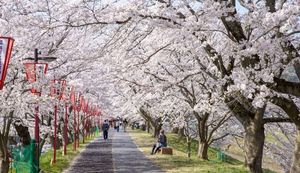 地域の特色を活かした個性豊かな返礼品が充実!島根県雲南市のふるさと納税返礼品についてインタビュー