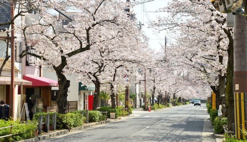 阪神間モダニズムが息づく美食の街！兵庫県芦屋市のふるさと納税返礼品をご紹介