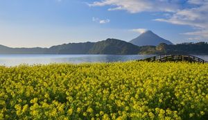 さまざまな絶品グルメが勢揃い!鹿児島県指宿市のふるさと納税返礼品をご紹介